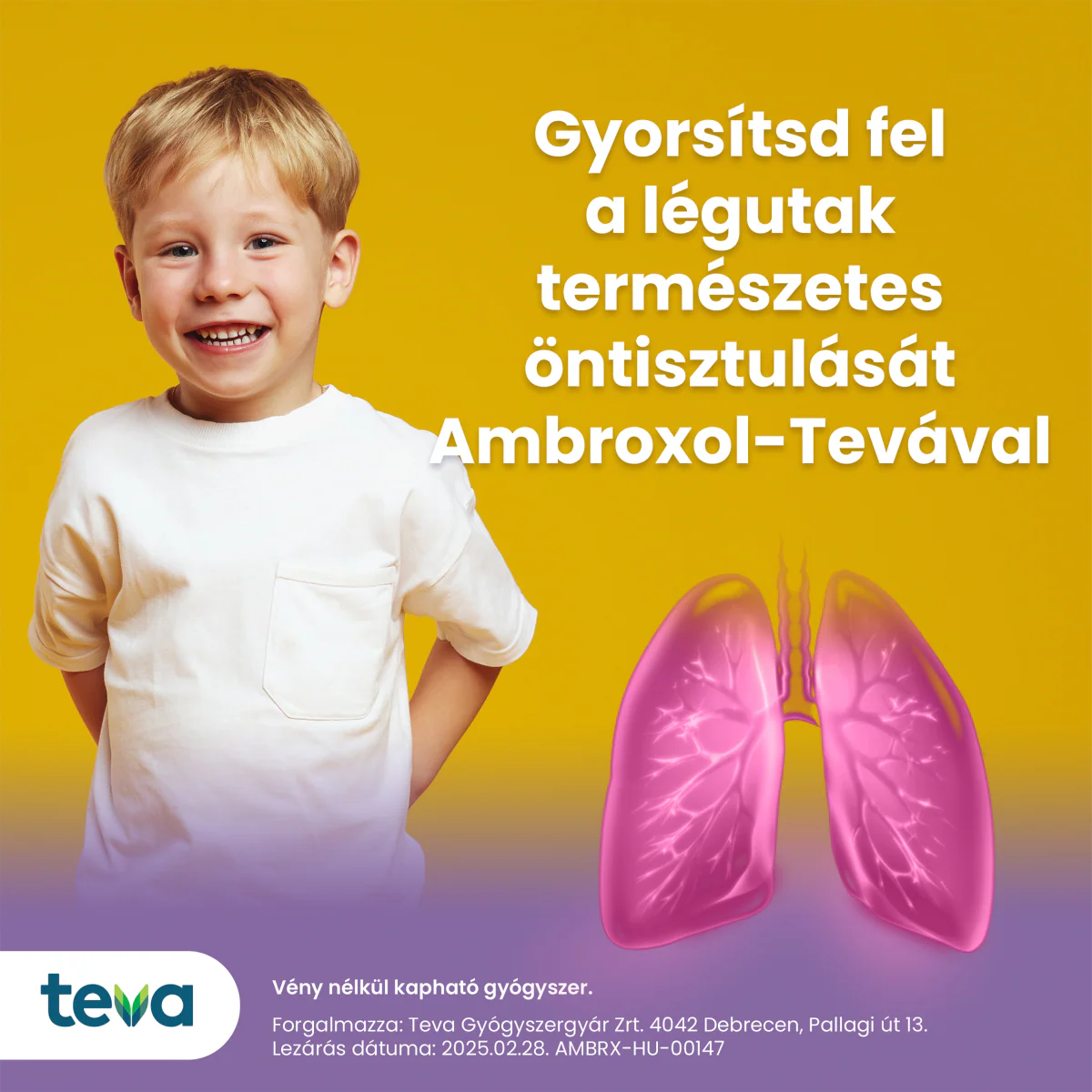 Ambroxol-TEVA 3 mg/ml szirup + szájfecskendő 100ml - Image 12