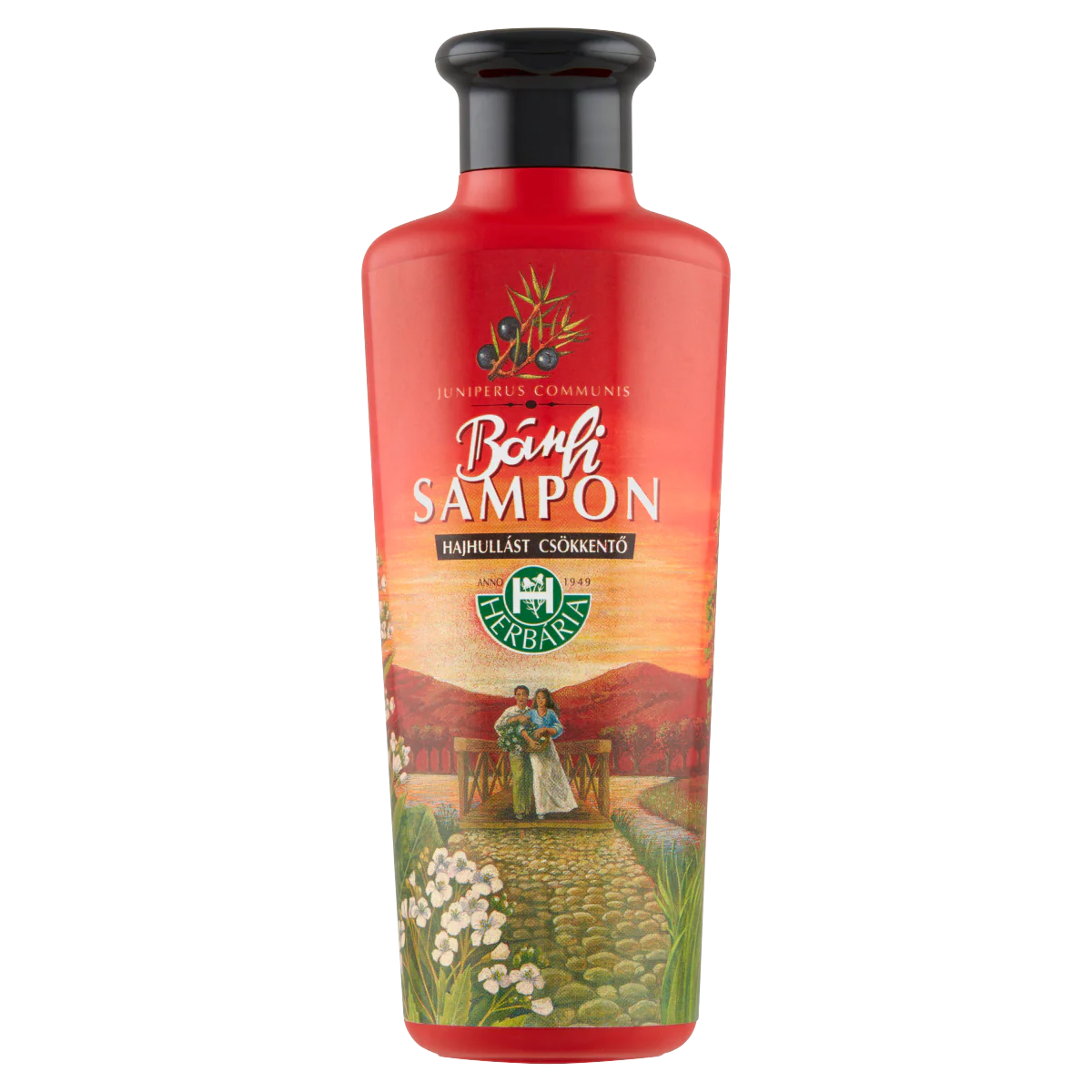 Bánfi sampon 250ml - Image 2