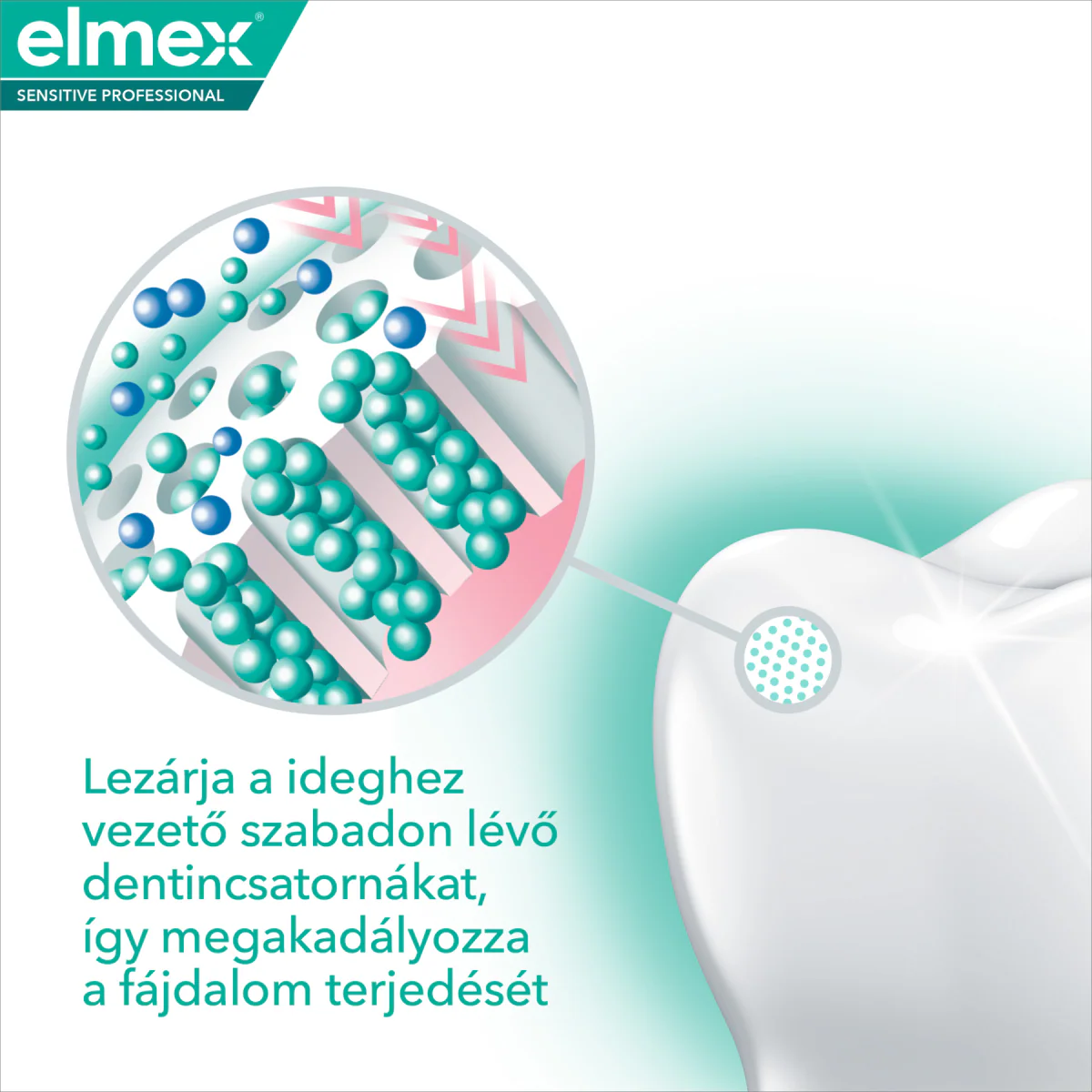 Elmex Sensitive Professional fogkrém 75ml - Image 13