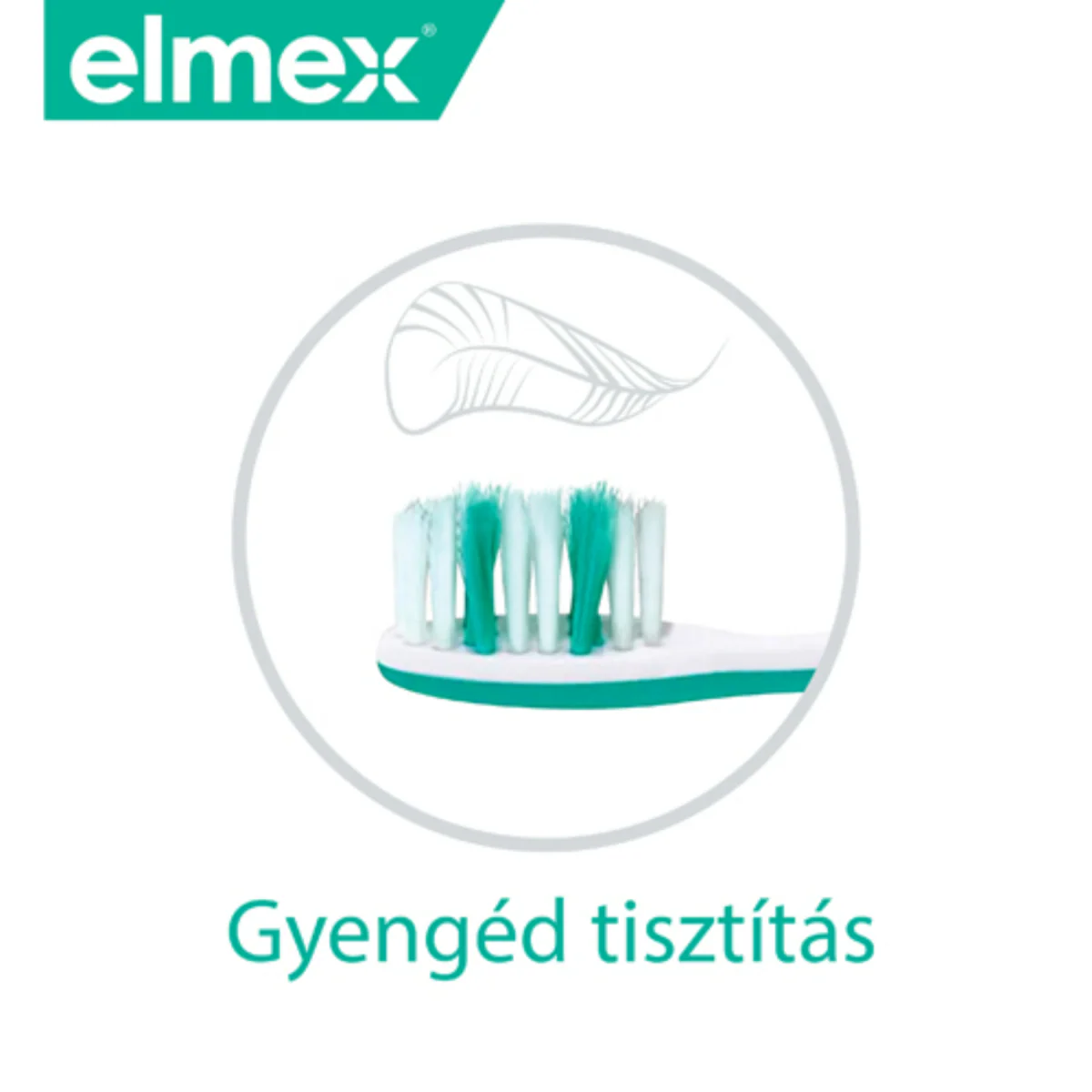 Elmex Sensitive fogkefe érzékeny fogakra - Image 12