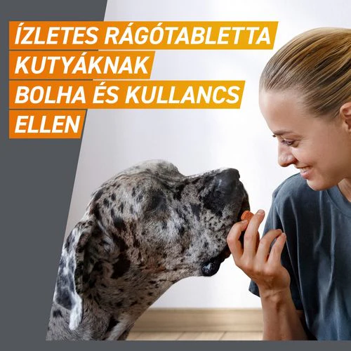 Frontpro 11,3 mg rágótabletta 2-4 kg kutyáknak 3 db - Image 4