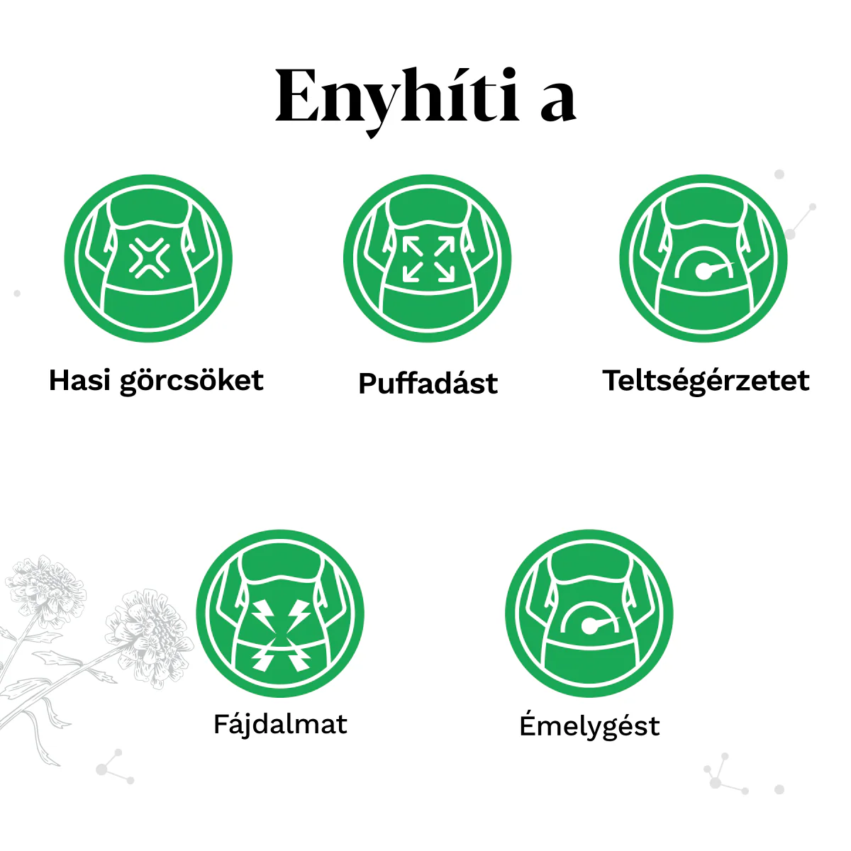 Iberogast emésztési panaszok széles spektrumára 50ml - Image 17