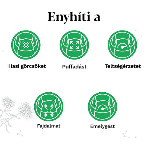 Iberogast emésztési panaszok széles spektrumára 50ml - Image 6