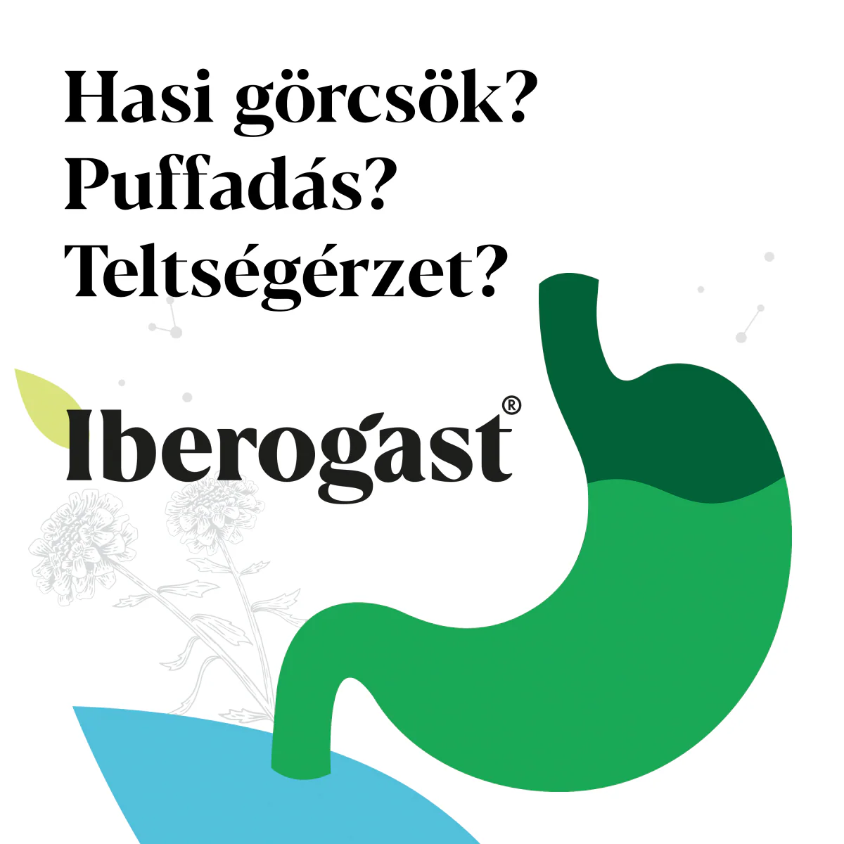 Iberogast emésztési panaszok széles spektrumára 100ml - Image 17