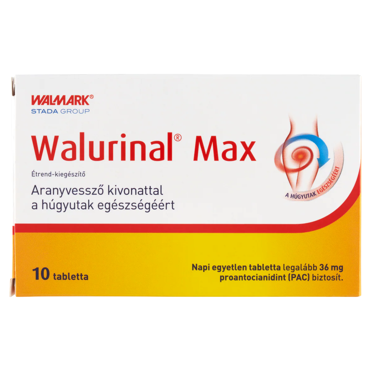 Walurinal Max aranyvesszővel tabletta 10 db - Image 6