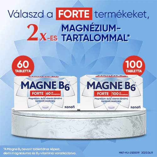 Magne B6 Forte filmtabletta 60 db - Image 6