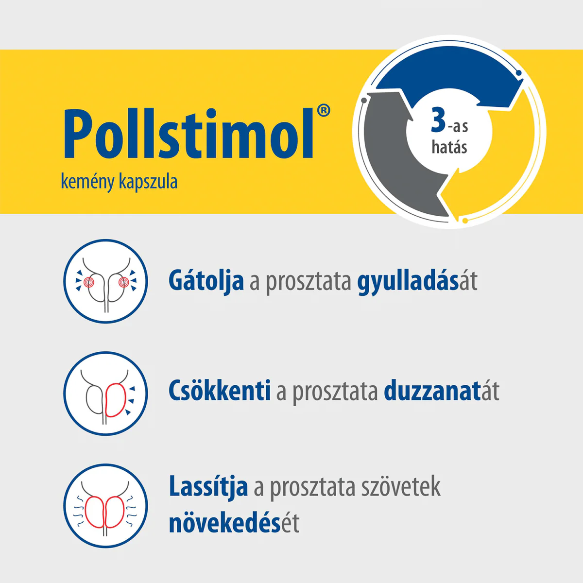 Pollstimol kemény kapszula 120 db - Image 9